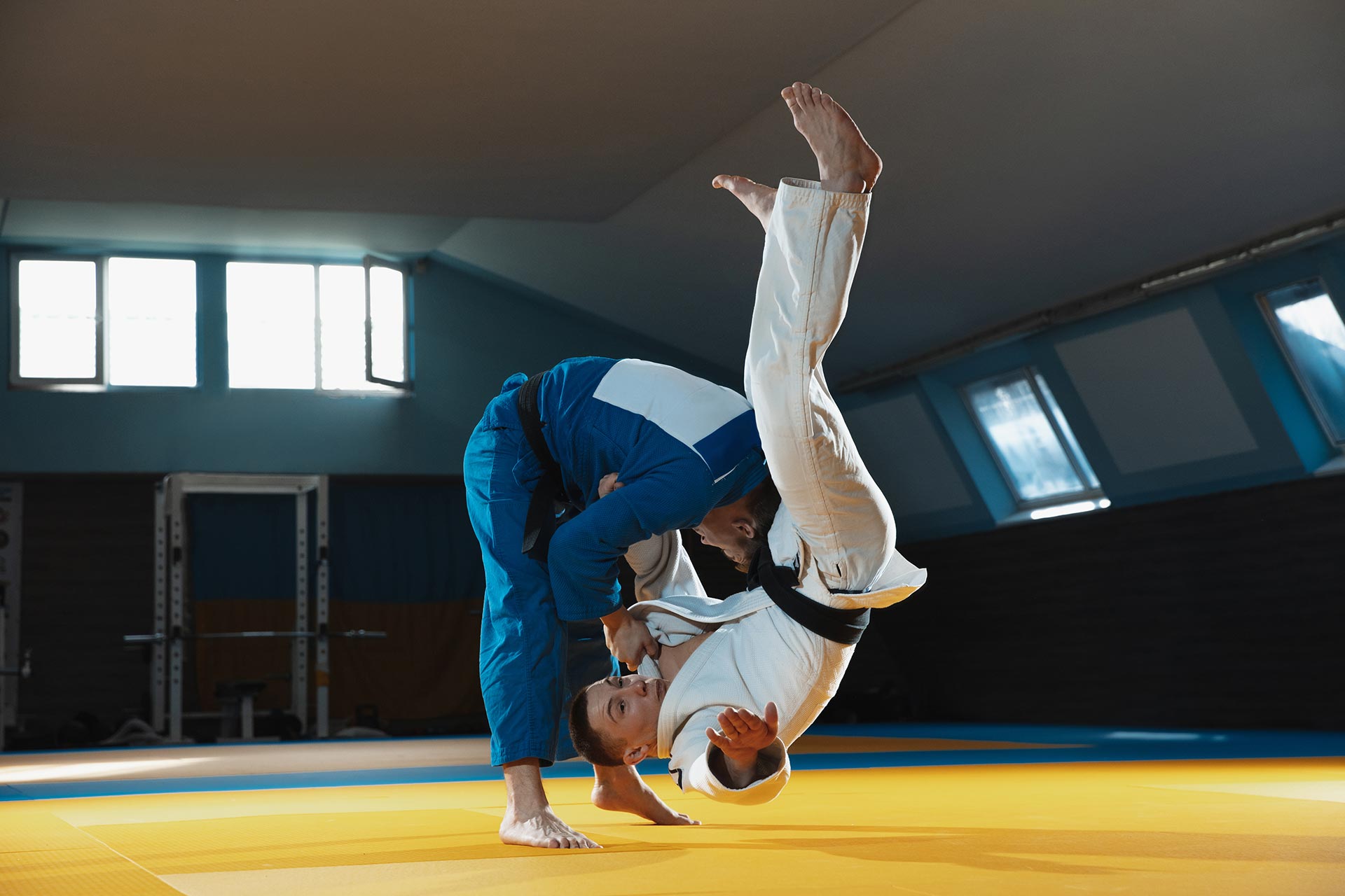 Seoi Nage Judomania